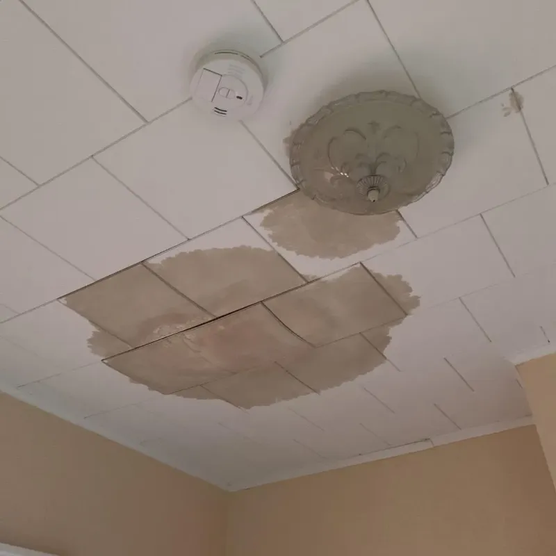 Ceiling Water Damage Repair in Tremont, PA
