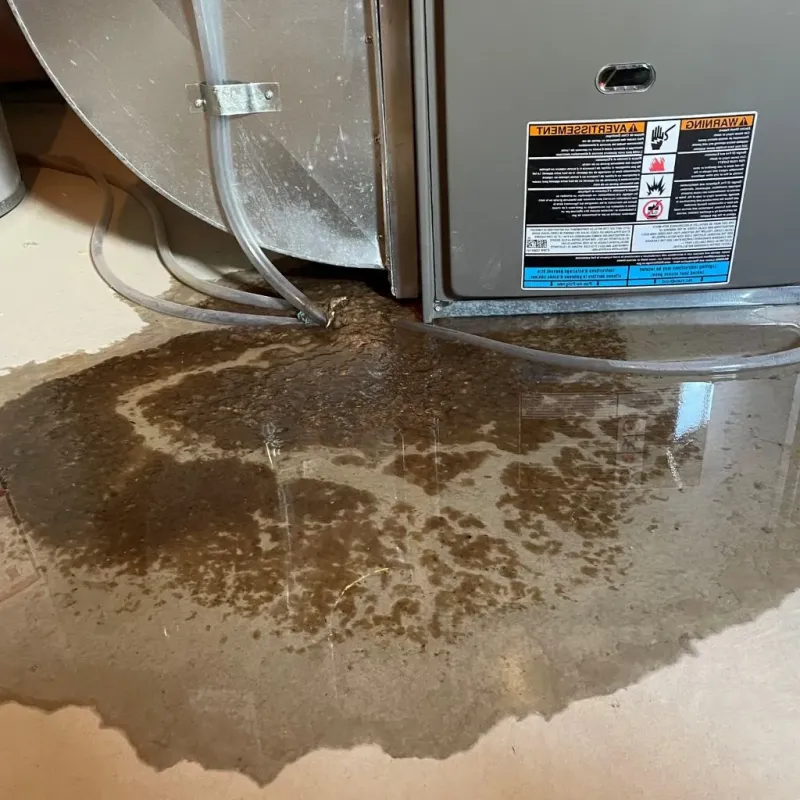 Pipe Burst and Leak Restoration in Tremont, PA
