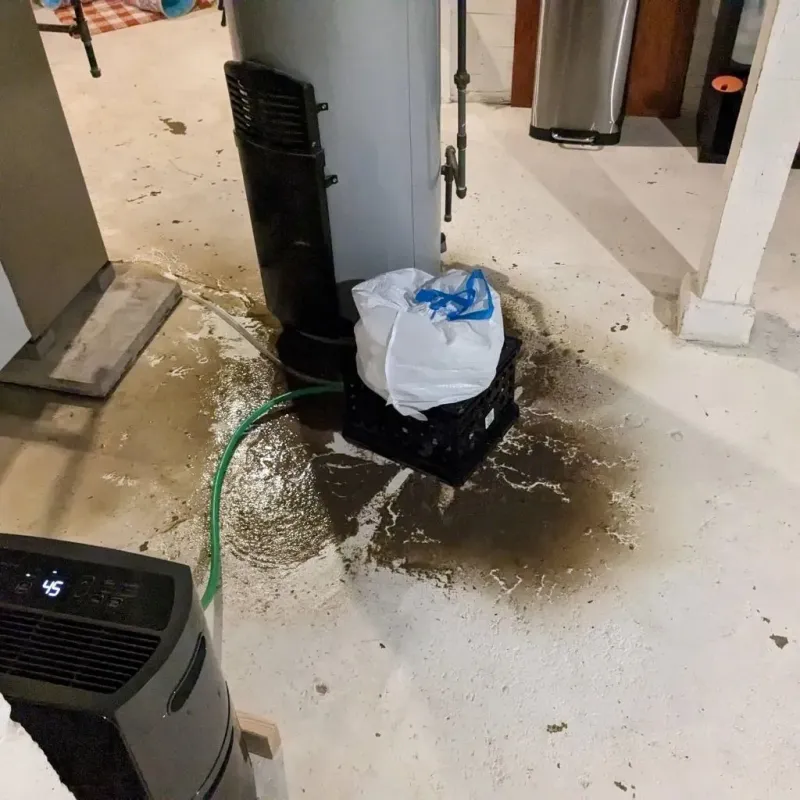Sewage Backup Cleanup Service in Tremont, PA